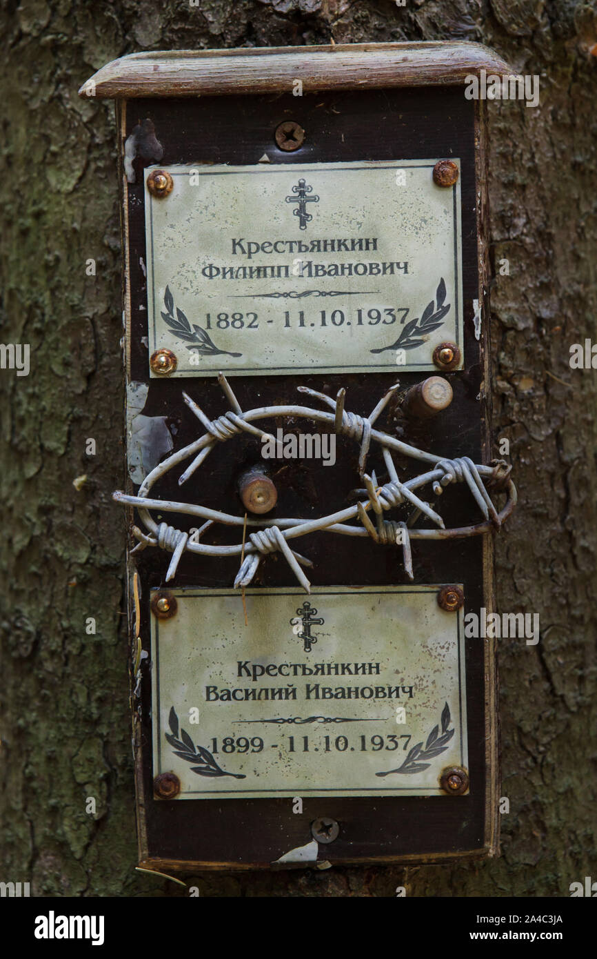 Gedenktafel für die Opfer der Bolschewistischen politischen Repressionen in der Levashovo Memorial Friedhof im Wald installiert gewidmet neben Levashovo Bahnhof in der Nähe von Saint Petersburg, Russland. Der Wald wurde die Masse Begräbnisstätte der Menschen während der großen Säuberung durch die sowjetische Geheimpolizei NKWD, später als das KGB bekannt ausgeführt. Es waren mindestens 19.000 Opfer der politischen Repressalien hier von 1937 bis 1954 begraben. Nach anderen Quellen, etwa 45.000 Menschen könnten an der Levashovo Memorial Cemetery in anonymen Gräbern. Stockfoto