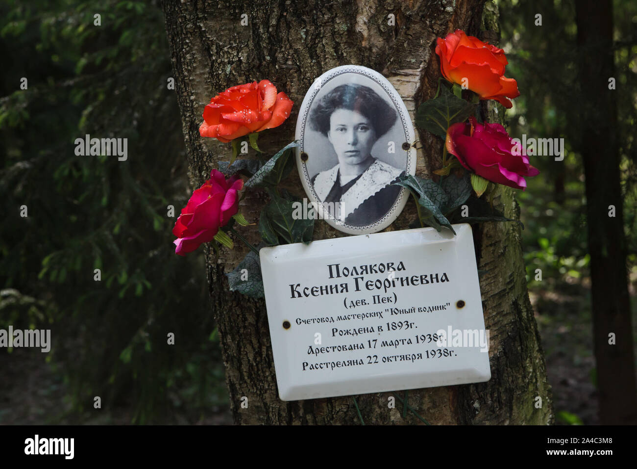 Ksenia polyakova Fotos und Bildmaterial in hoher Auflösung Alamy