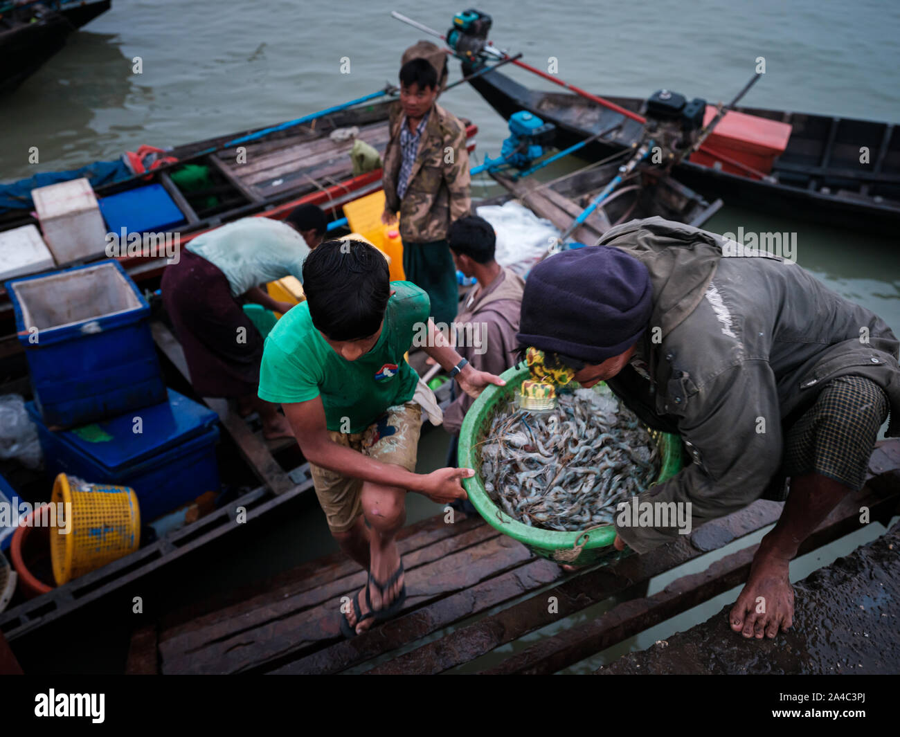 SITTWE, MYANMAR - ca. Dezember 2017: Fischer in Sittwe in der Nähe des Central Market, die den Fang des Tages, Myanmar Stockfoto