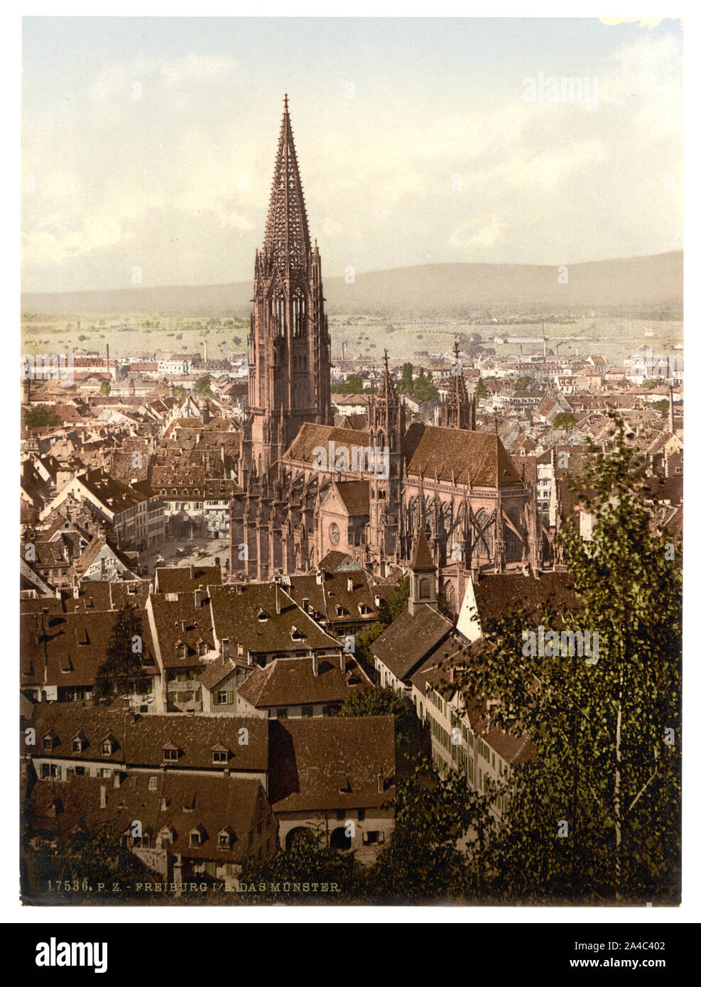 Die Munster, Freiburg, Baden, Deutschland Stockfoto