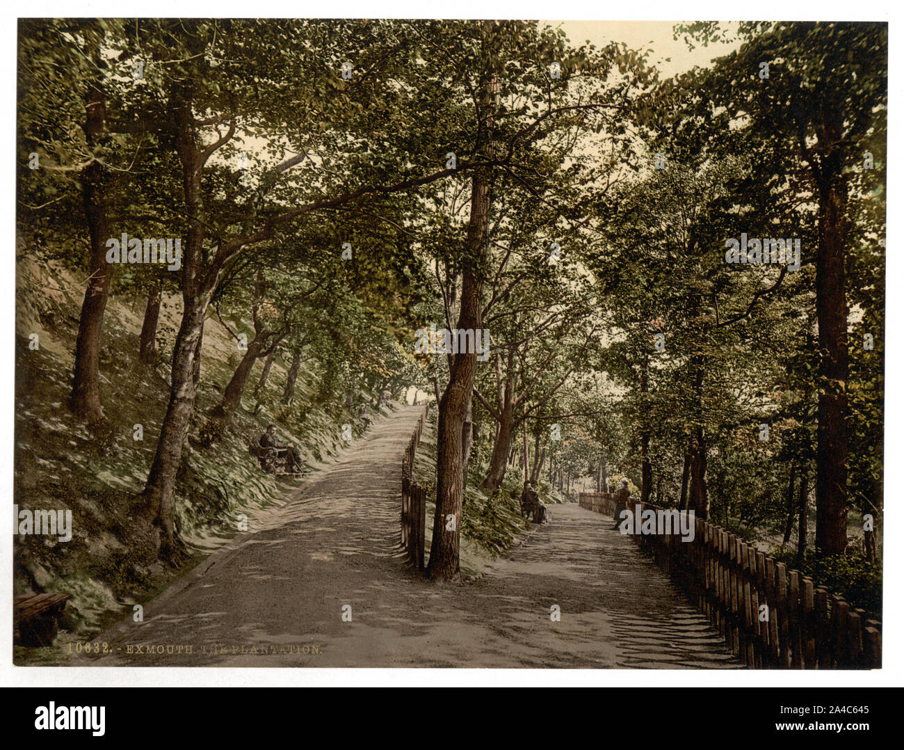 Die Plantage, Exmouth, England Stockfoto