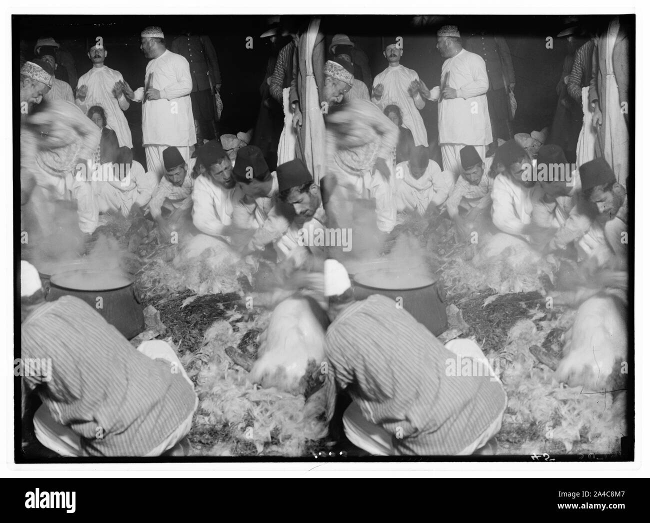 Der Samariter Ostern am Mt. Garizim. Ziehen Sie die Wolle der Schafe. Stockfoto