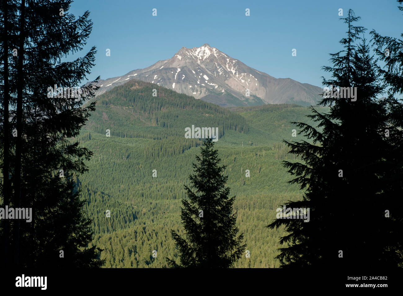 Der Westen angesichts der Oregon Mount Jefferson Stockfoto