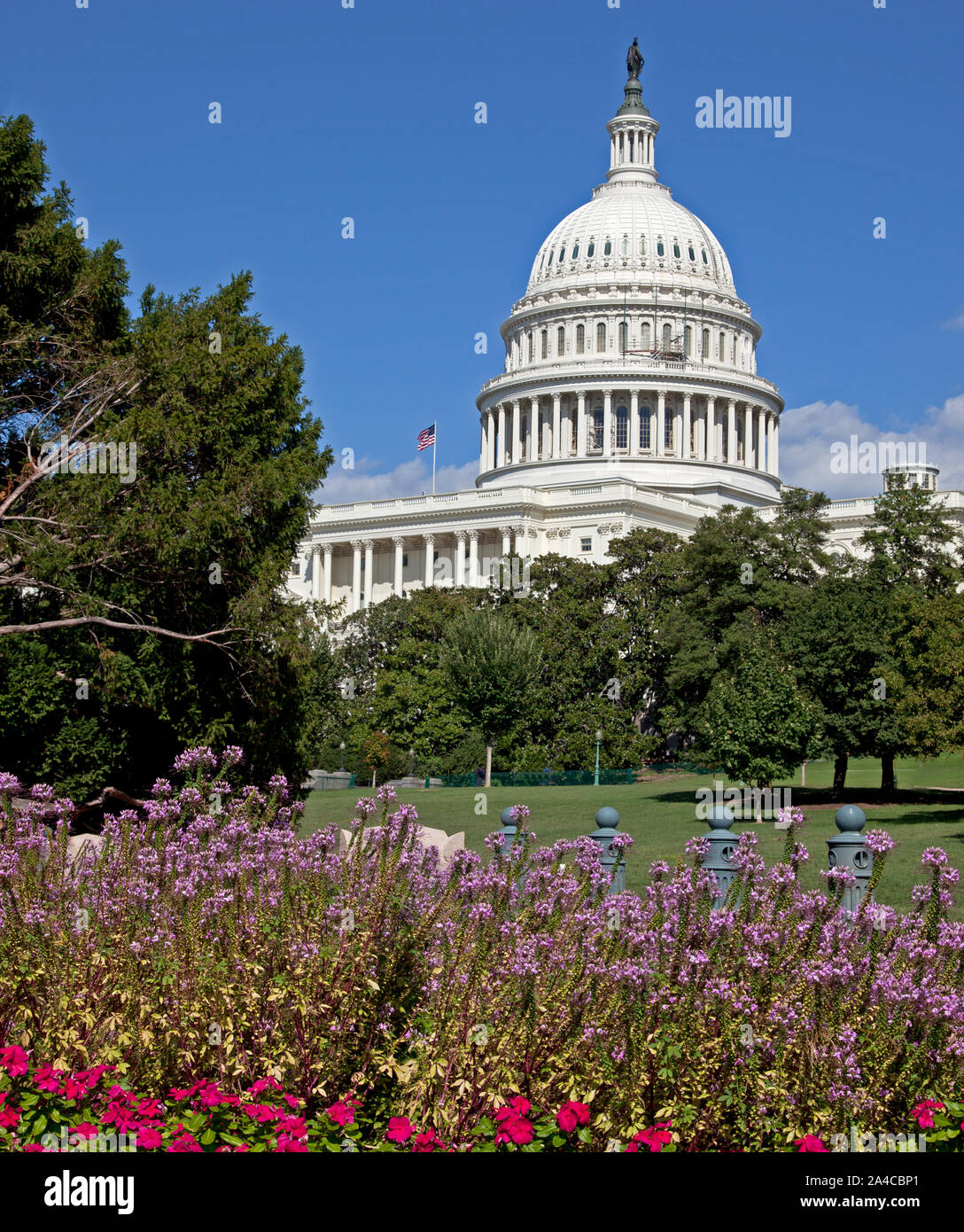 Der United States Capitol Gebäude sitzt auf dem Capitol Hill am östlichen Ende der National Mall, Washington, D.C Stockfoto