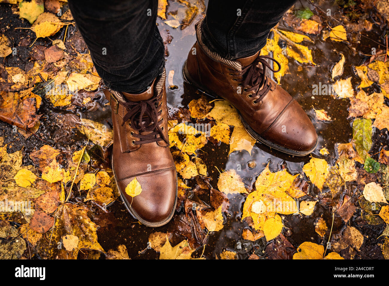 Beine aus braunem Leder Stiefel auf nassen Asfalt mit bunten gefallen Ahorn Blätter um. Konzept der Herbst Herbst Jahreszeit, Herbst Mode, trendy hipster Leben Stockfoto