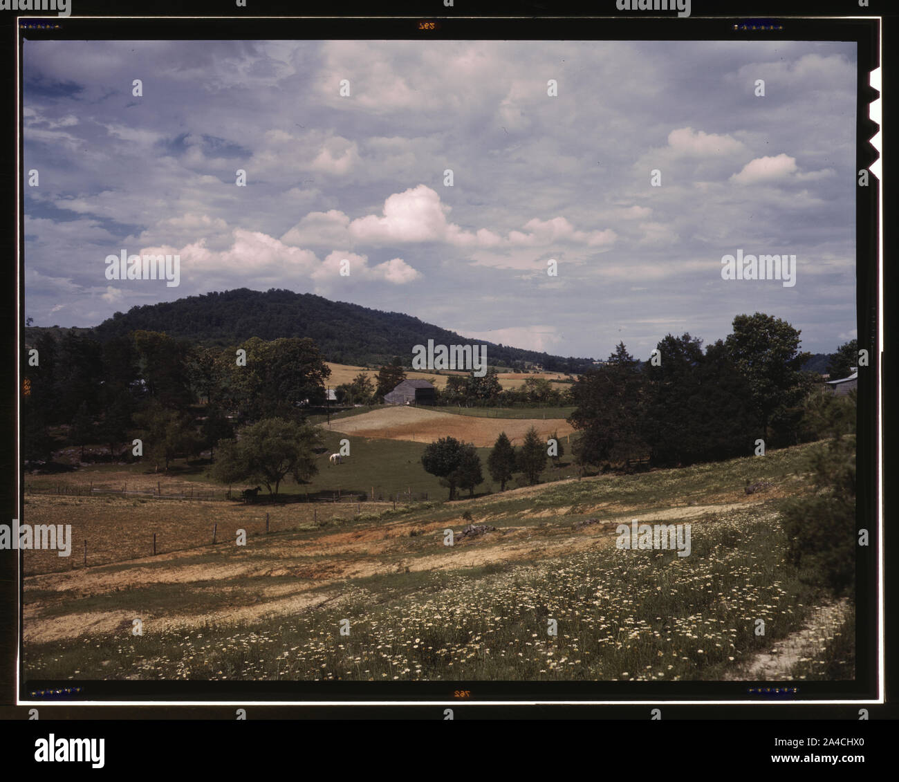 Die Landschaft in der Nähe der Tennessee Valley Authority dam, Douglas Damm Nähe, Tenn. Stockfoto