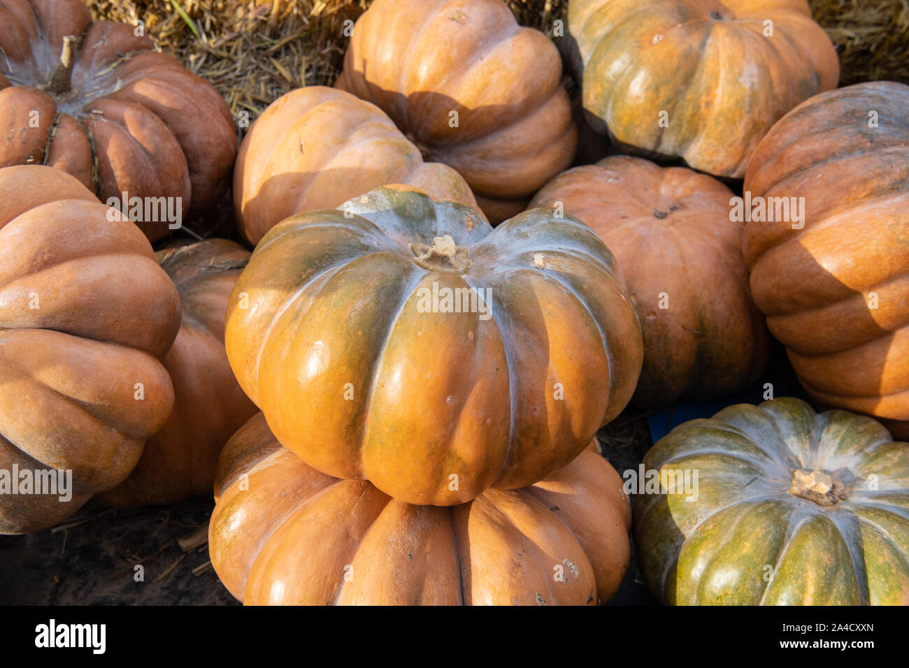 Moschuskurbis Stockfotos Und Bilder Kaufen Alamy