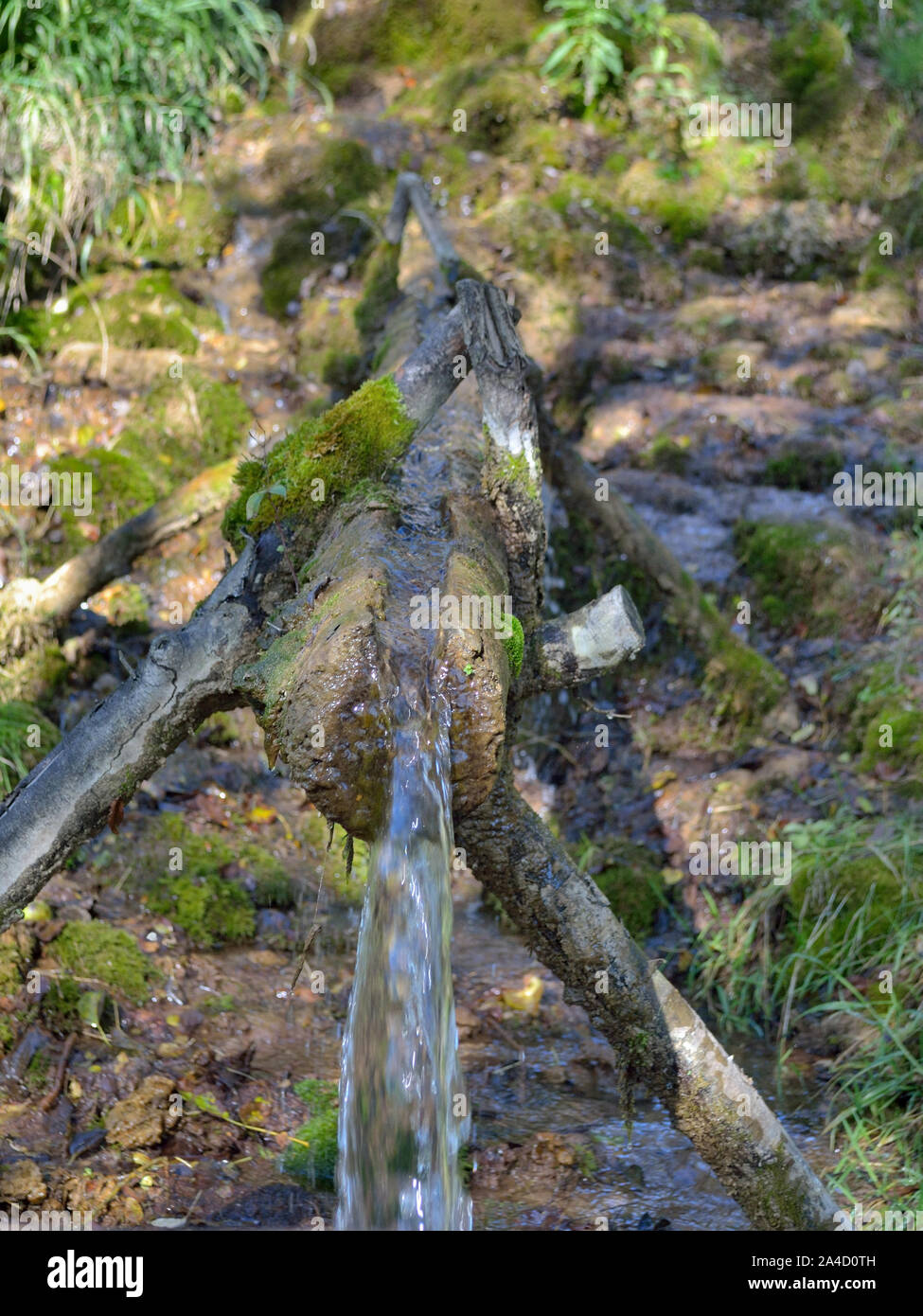 Frisches Quellwasser fließt durch eine aus Holz geschnitzte Röhre. Wasserquelle Vrelo, Hydro Complex Lisine, Beljanica, Serbien, Stockfoto