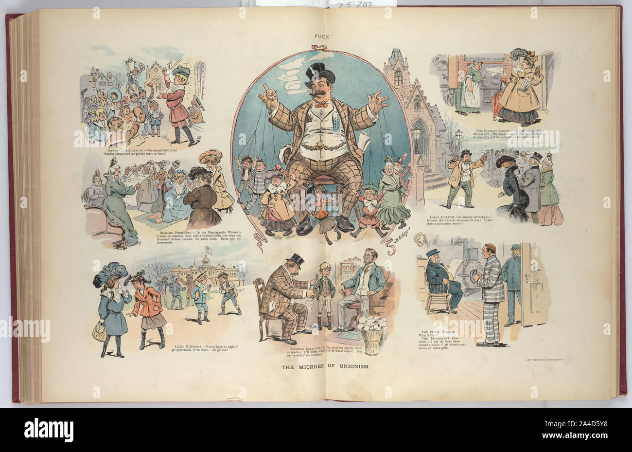Die mikrobe der Unionisten/Ehrhart. Stockfoto