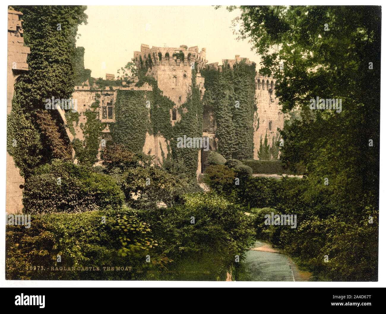 Der Wassergraben, Raglan Castle, Wales Stockfoto