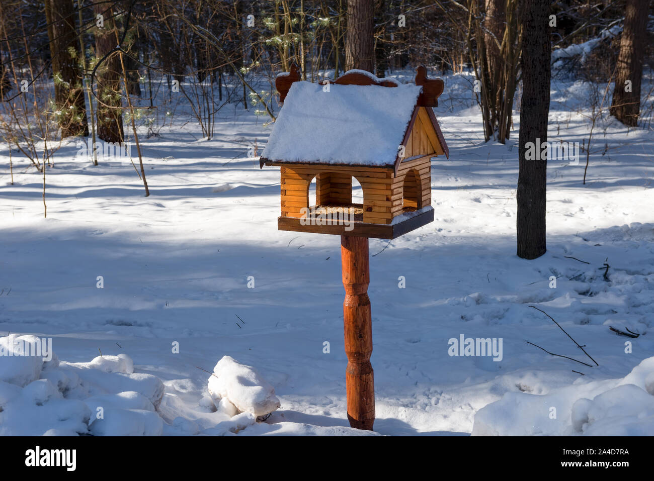 Abzweig für Vögel und Tiere im Winter Wald Stockfoto
