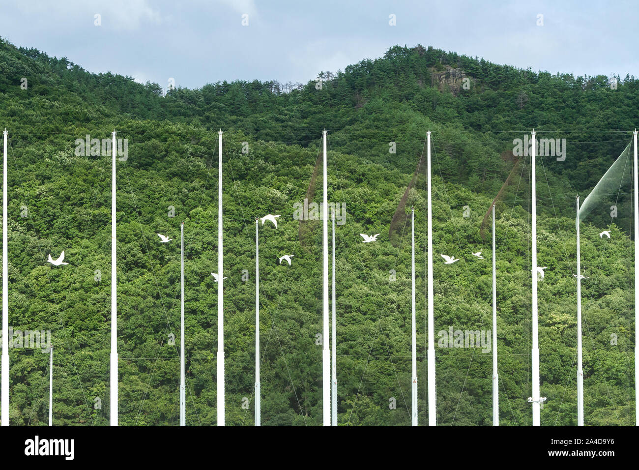 Die Netze eines Golf Driving Range mit Ausschnitten von Vögeln auf ihnen in Ueda, Nagano, Japan. Stockfoto