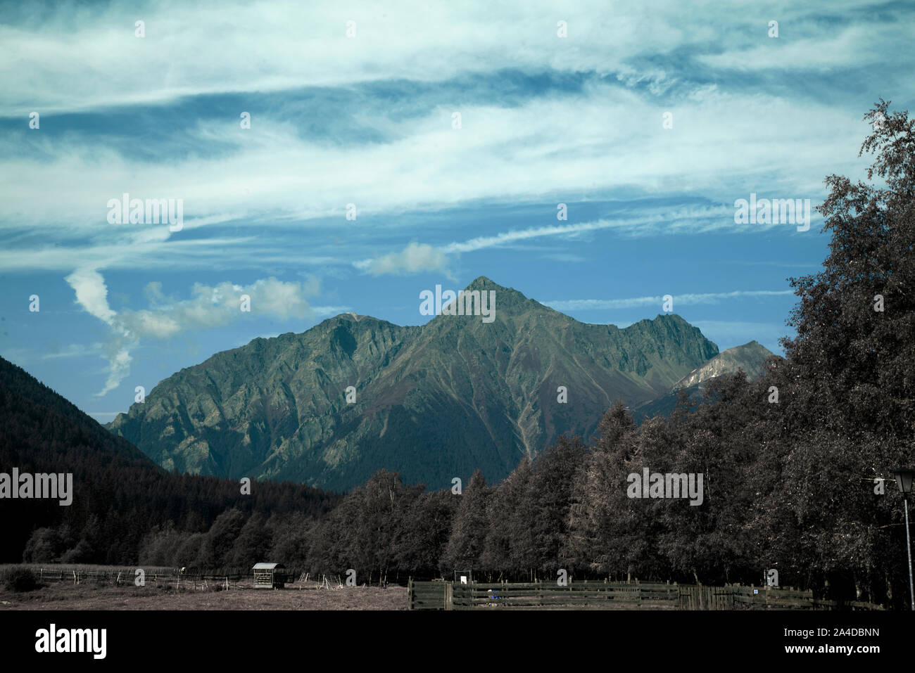 Alpes, Baum und Felsen Infrarot. Stockfoto