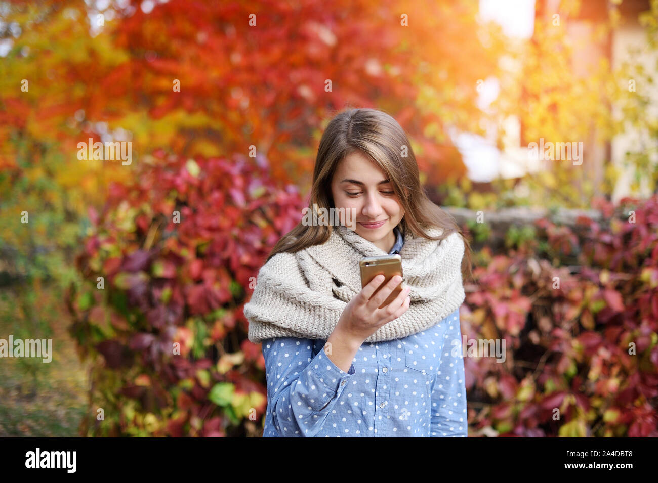 Smart phone Herbst Frau writting SMS auf Handy im Herbst. Herbst Mädchen in Smartphone Gespräch in Sun flare Laub. Portrait von gemischten Rennen Stockfoto