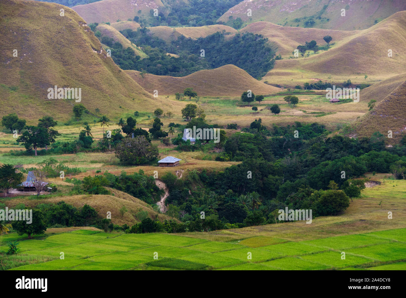 Sembalun Village, West Nusa Tenggara, Indonesien Stockfoto
