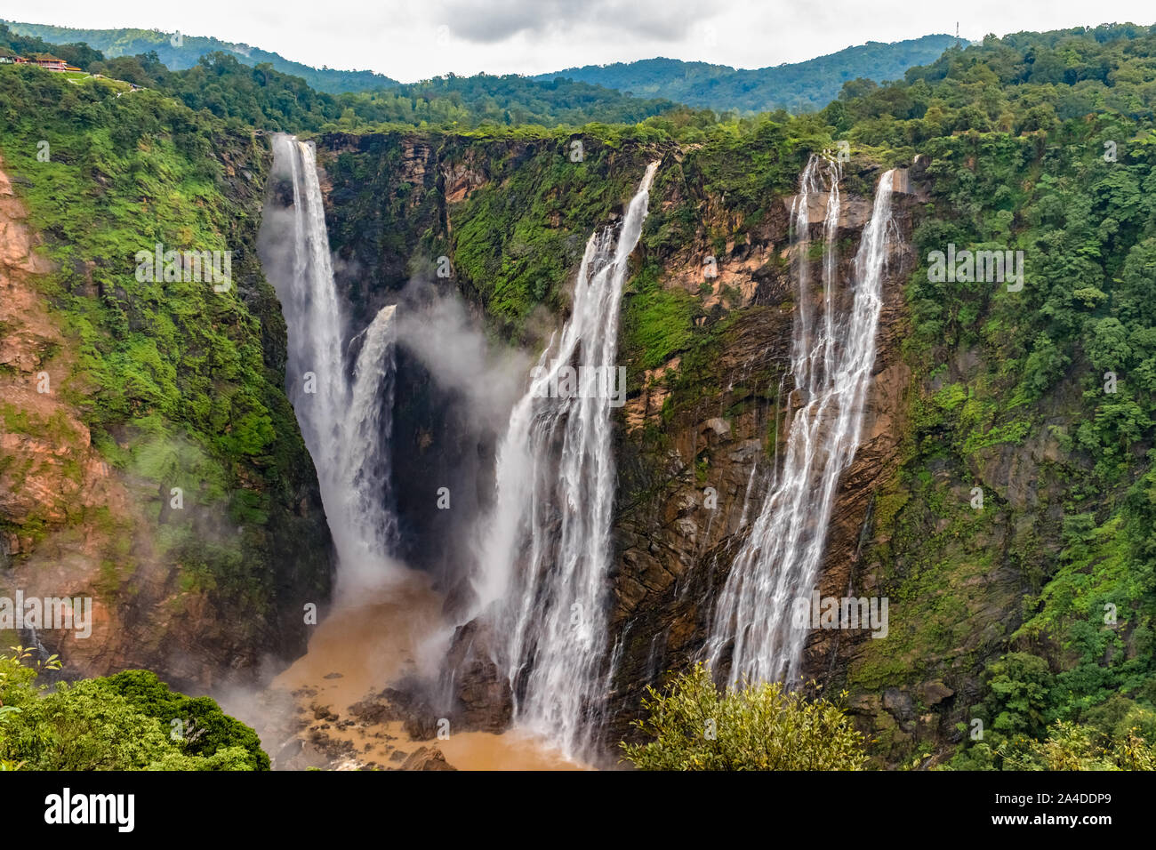 Wunderschöne Aussicht auf sehr berühmte Jog fällt, Rakete fällt und fällt auf Roarer Sharavathi River, in den Western Ghats von Karnataka State in der Monsunzeit. Stockfoto