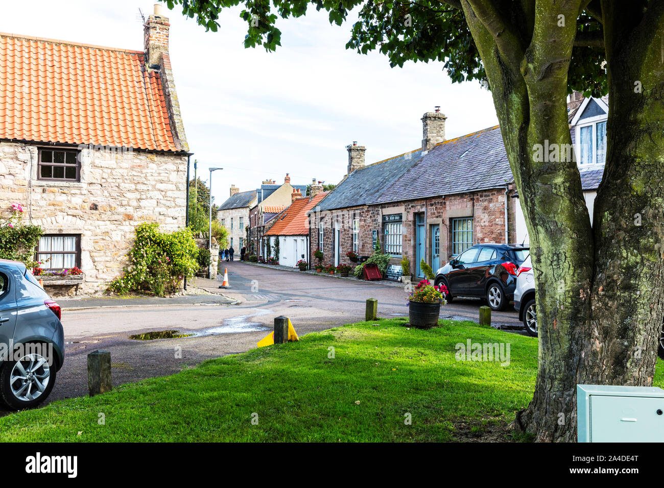 Lindisfarne Dorfzentrum, Northumberland, Großbritannien, England, Lindisfarne Dorf, Lindisfarne, Dorf, Dörfer, Lindisfarne Northumberland, Häuser, Stockfoto