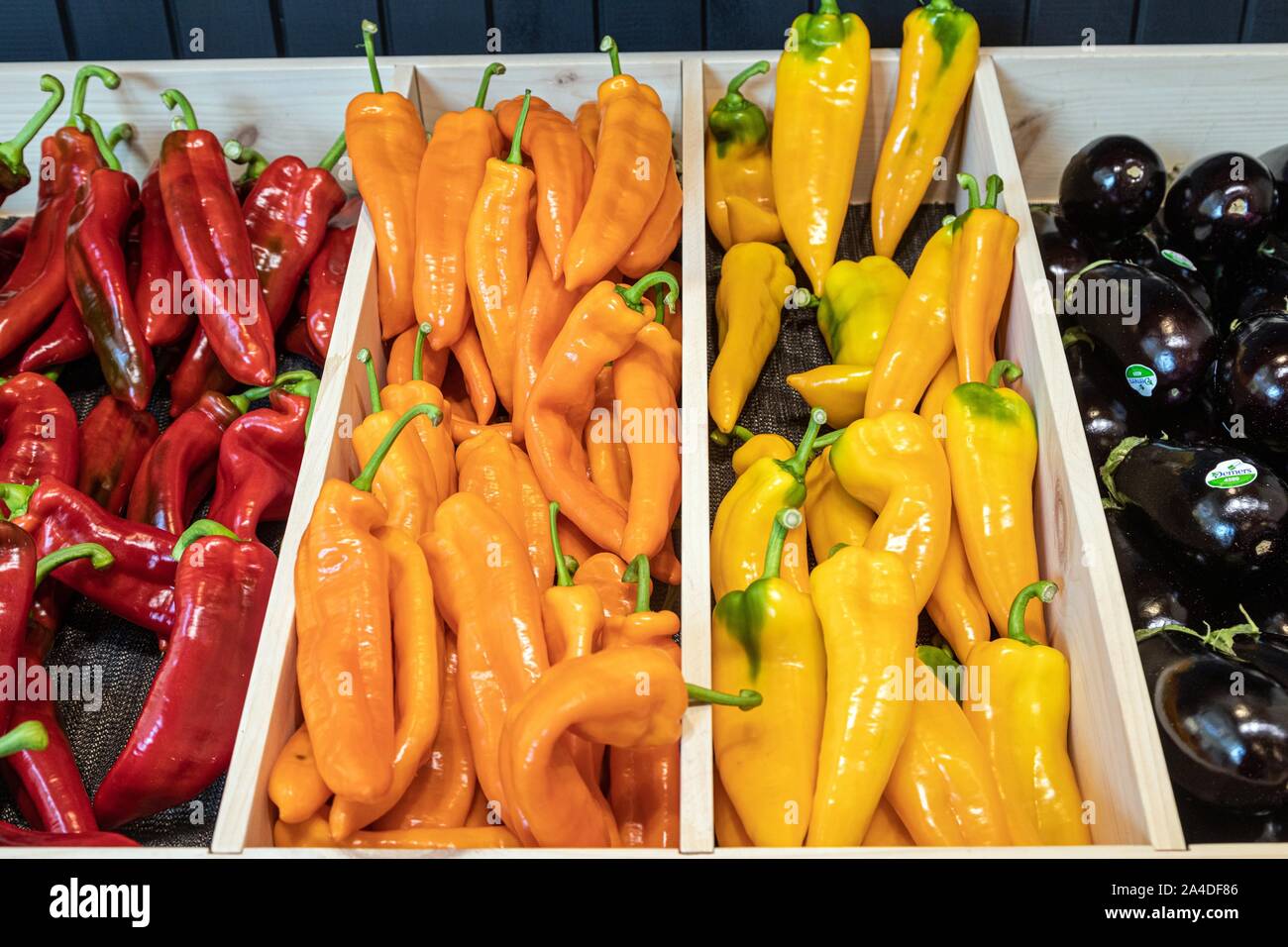 Bunte Paprika und Auberginen, regional angebauten Gemüse, der große Markt, Boulevard Wilfrid Hamel, Quebec, Kanada Stockfoto