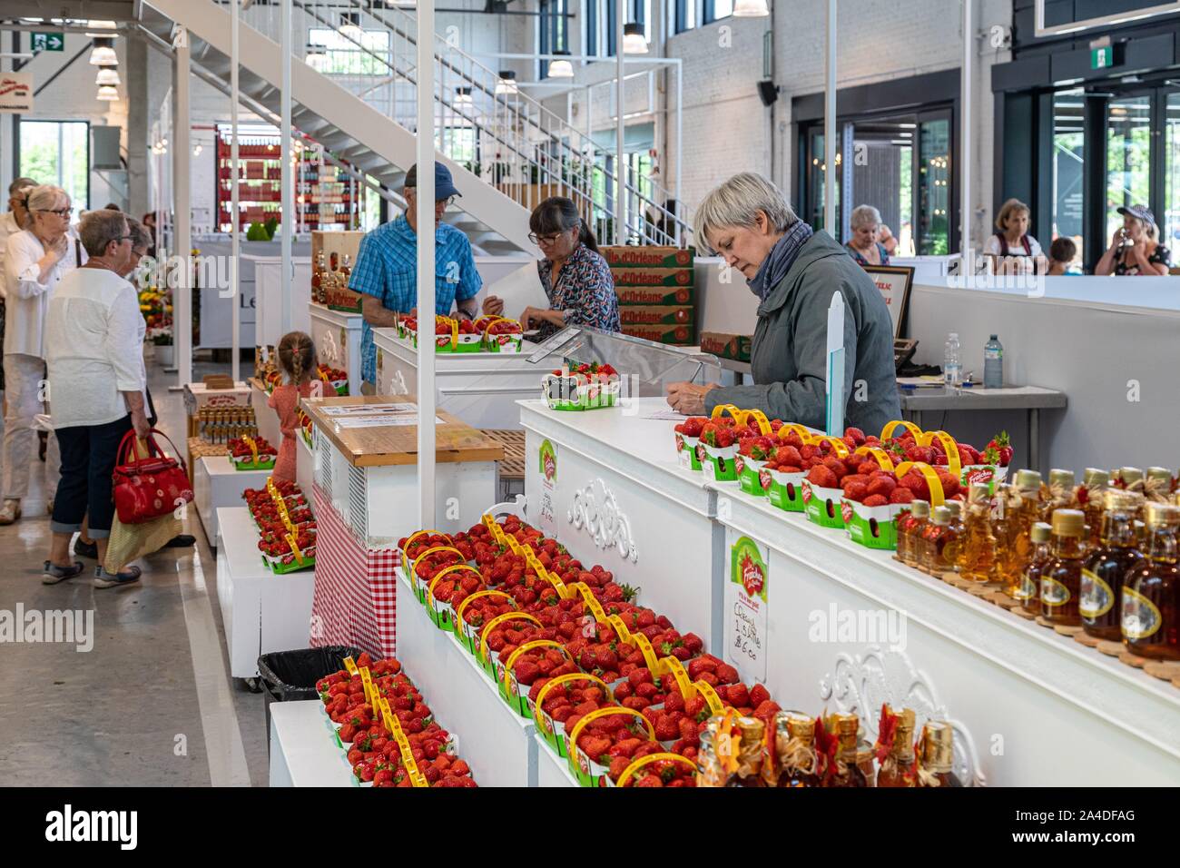 Frische Erdbeeren, Regional angebautes Obst, DIE NEUE GROSSE MARKT, Boulevard Wilfrid Hamel, Quebec, Kanada Stockfoto