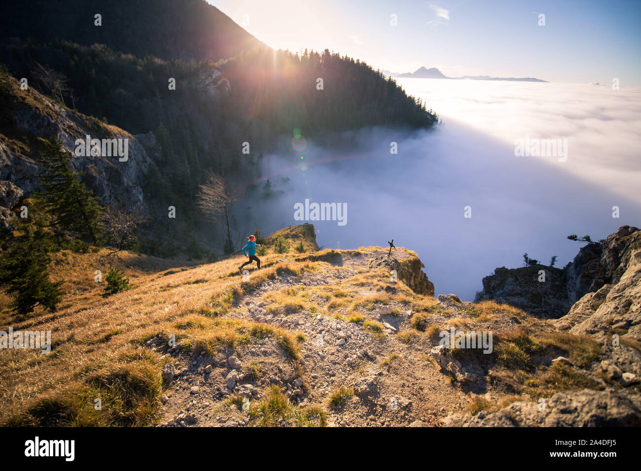 Frau trail läuft in den Bergen, Salzburg, Österreich Stockfoto