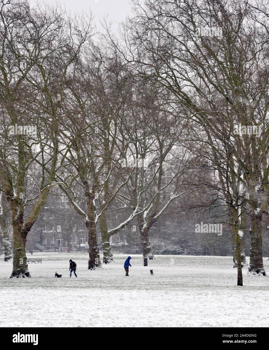 Foto muss Gutgeschrieben © Alpha Presse 066465 18/01/13 Leute gehen mit ihren Hunden in Highbury Fields im Norden von London am Tag, wo die meisten der UK mit starker Schneefall betroffen ist Stockfoto