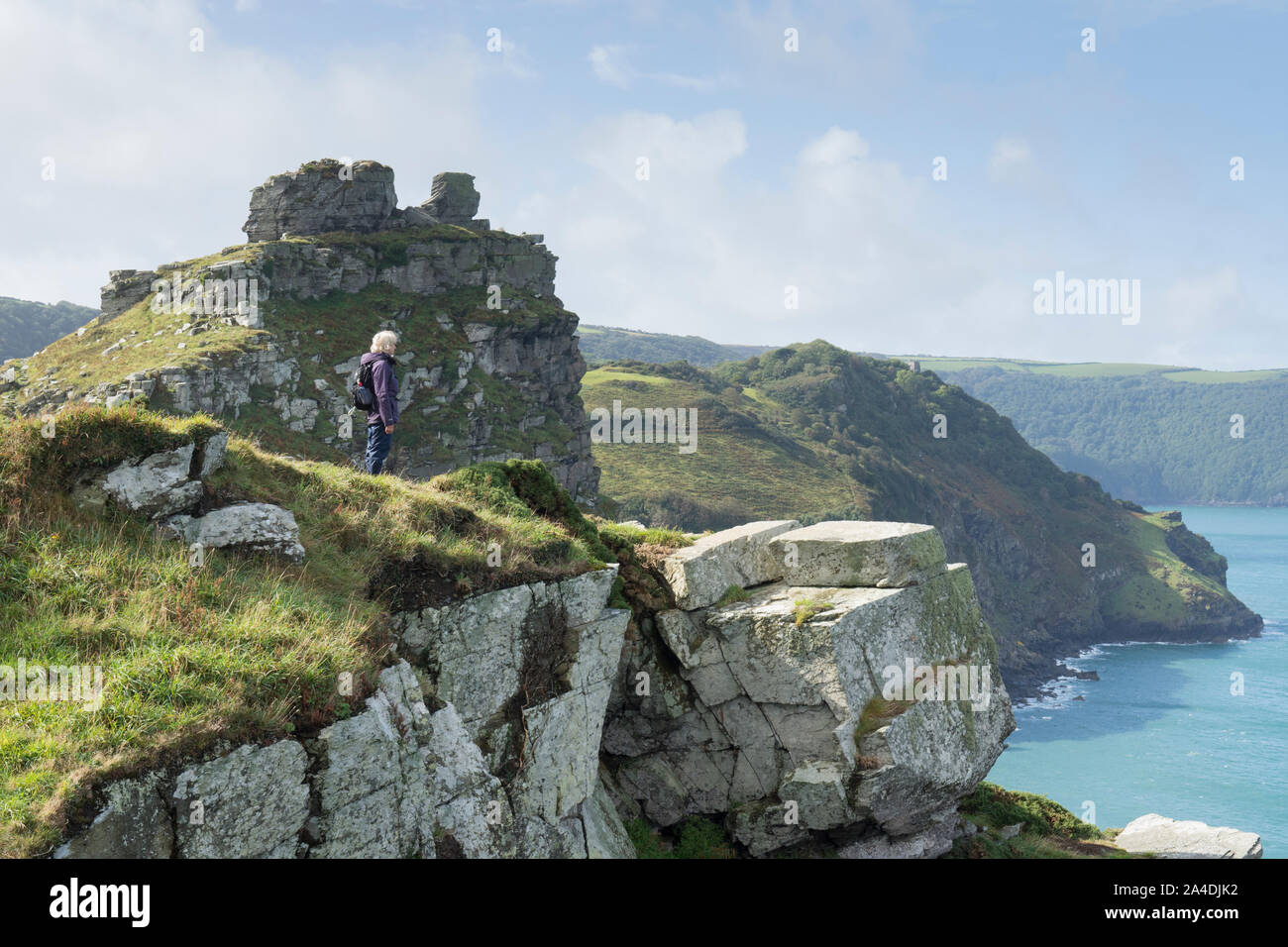 Frau Wanderer stehen auf Riff neben South West Coast Path, Tarka Trail, in Richtung Castle Rock, im Tal der Felsen, Lynton, Devon, September. Stockfoto