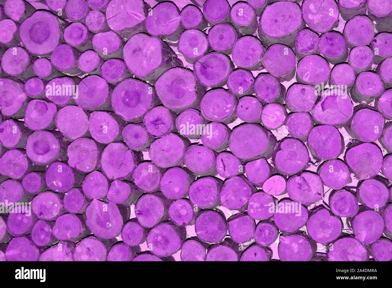 Zusammenfassung Hintergrund Muster Bild manipuliert lila Farbe an den Enden gestapelt kurze Längen von random Durchmesser runde Schnittholz angewandte Protokolle England Großbritannien Stockfoto