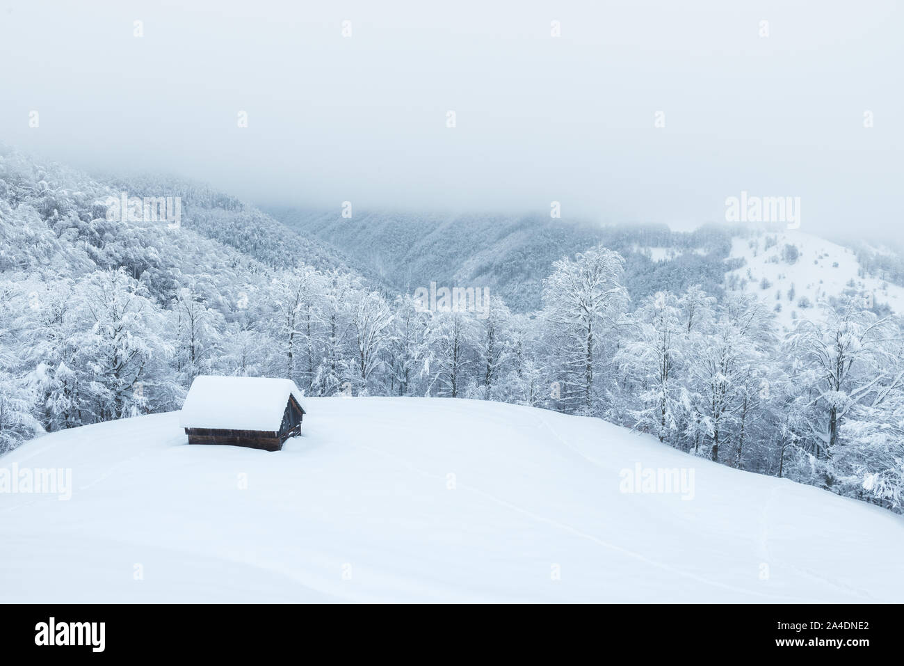 Lonely Holz- Haus in den Bergen. Winterlandschaft mit Frost bedeckt Wald und Nebel im Tal Stockfoto