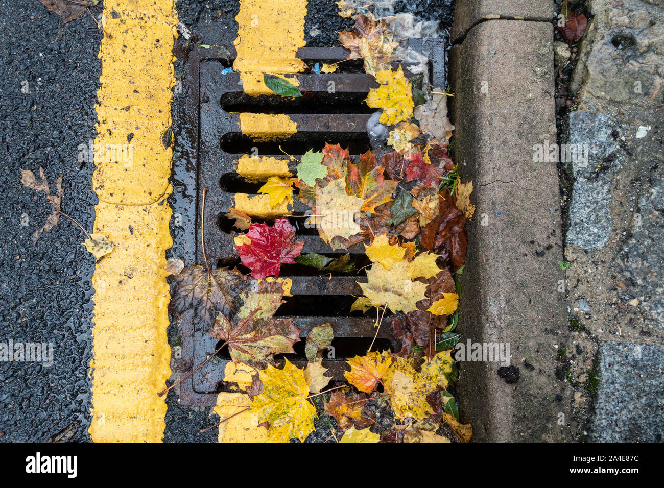 Blätter im Herbst liegen, gegen die Bordsteinkante am Rand der Straße teilweise verdecken doppelten gelben Linien. Stockfoto