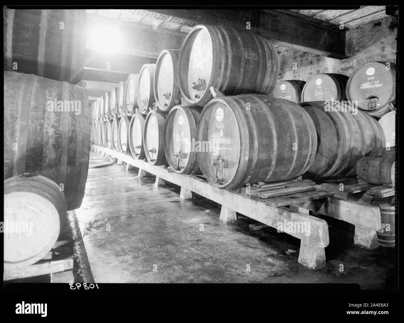 Die vintage Jahreszeit an Richon-le-Zion, 12.08.1939. Eine der Erdgeschoss Keller mit zahlreichen grossen Fässer für die Lagerung von Wein (Lagerung und Reifung Raum für süßer Wein) Stockfoto