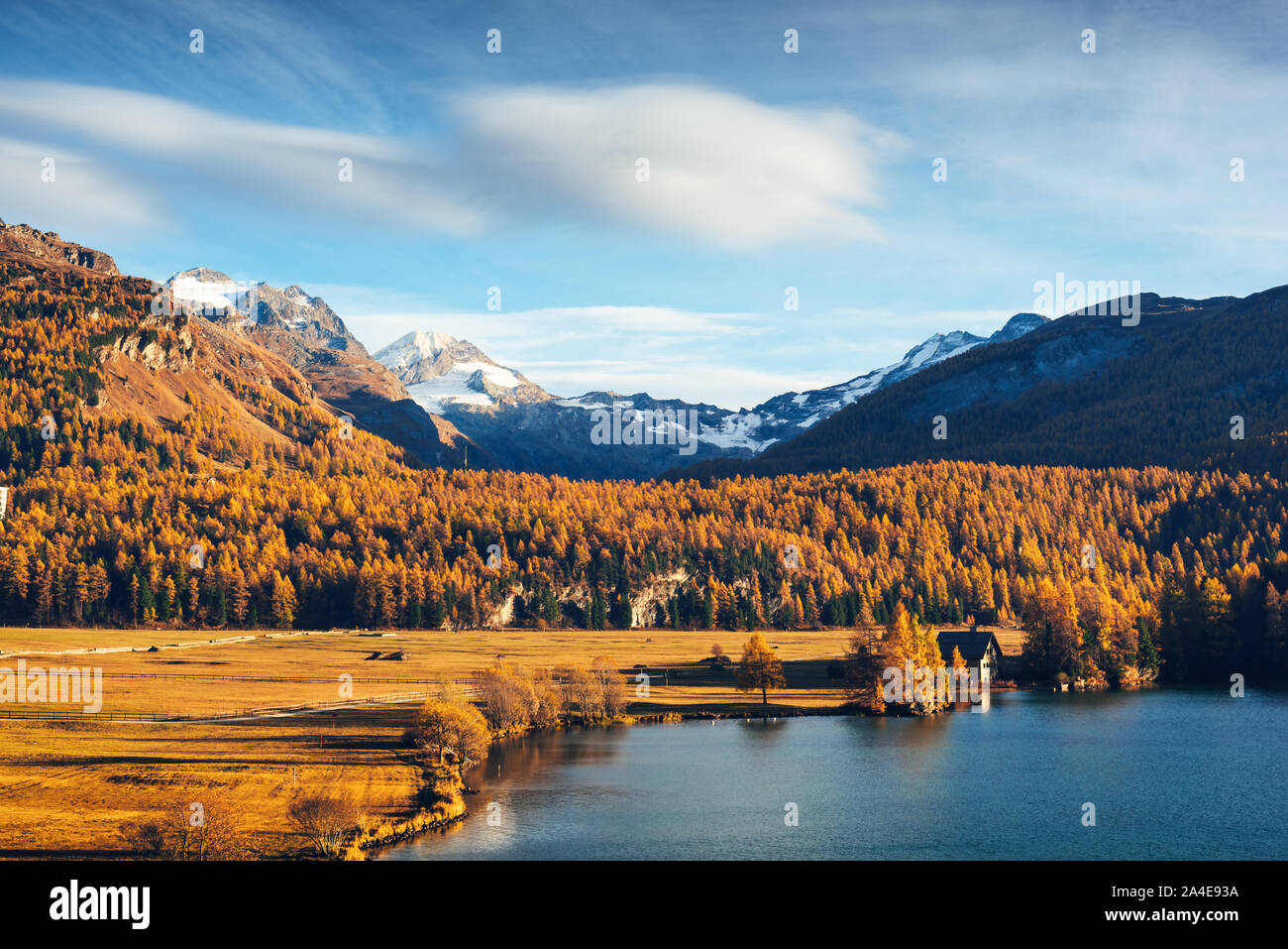 Herbst den Silsersee (Silsersee) in den Schweizer Alpen. Schneebedeckten Gipfeln und Orangenbäumen im Hintergrund. Schweiz, Maloja Region Oberengadin. Landschaftsfotografie Stockfoto