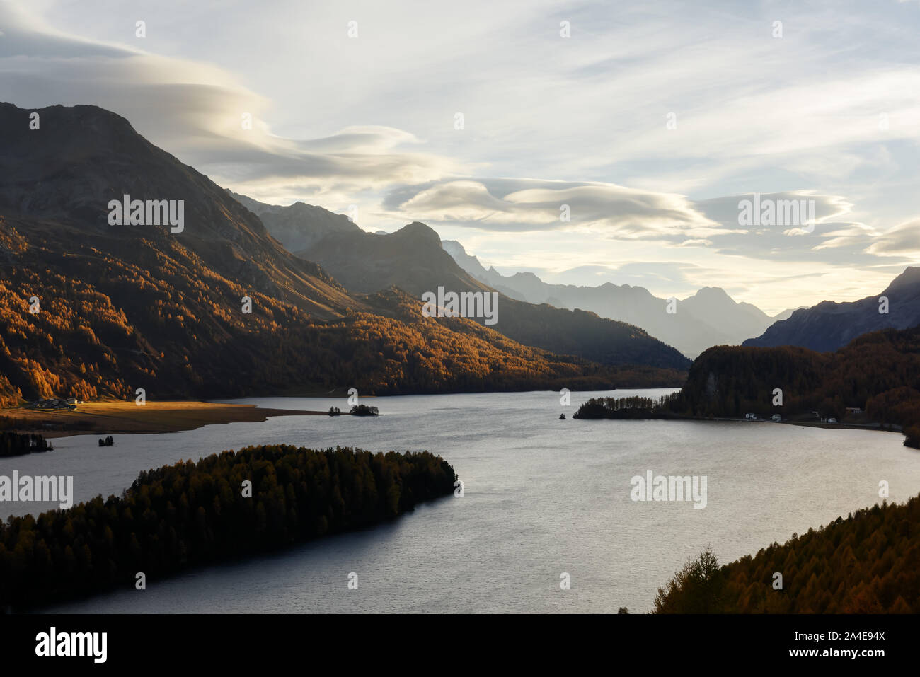 Luftaufnahme auf Herbst Silsersee (Silsersee) in den Schweizer Alpen. Bunte Wald mit orange Lärche. Schweiz, Maloja Region Oberengadin. Landschaftsfotografie Stockfoto