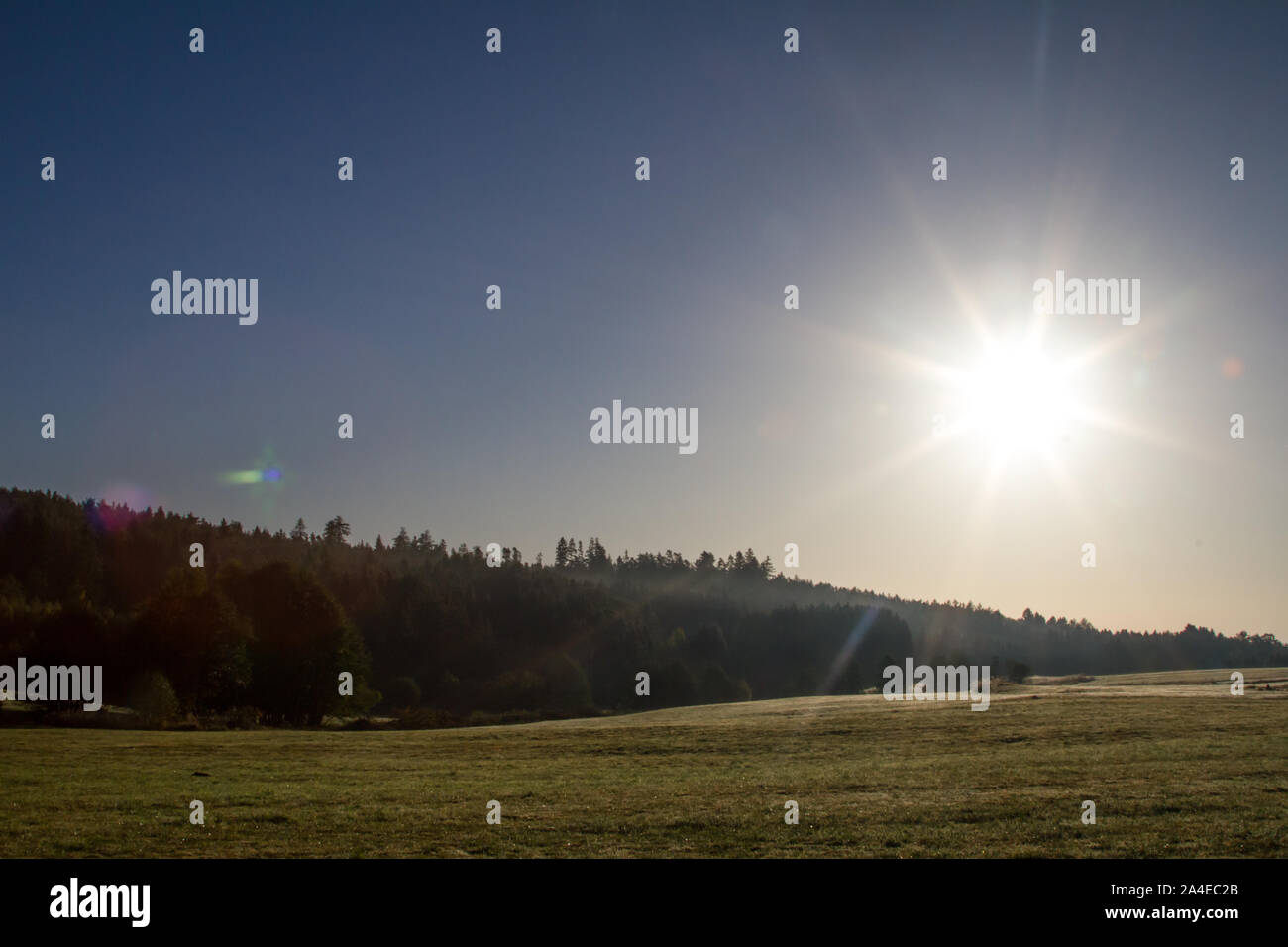 Morgen die Sonne über den Wiesen, Waldviertel, Österreich Stockfoto