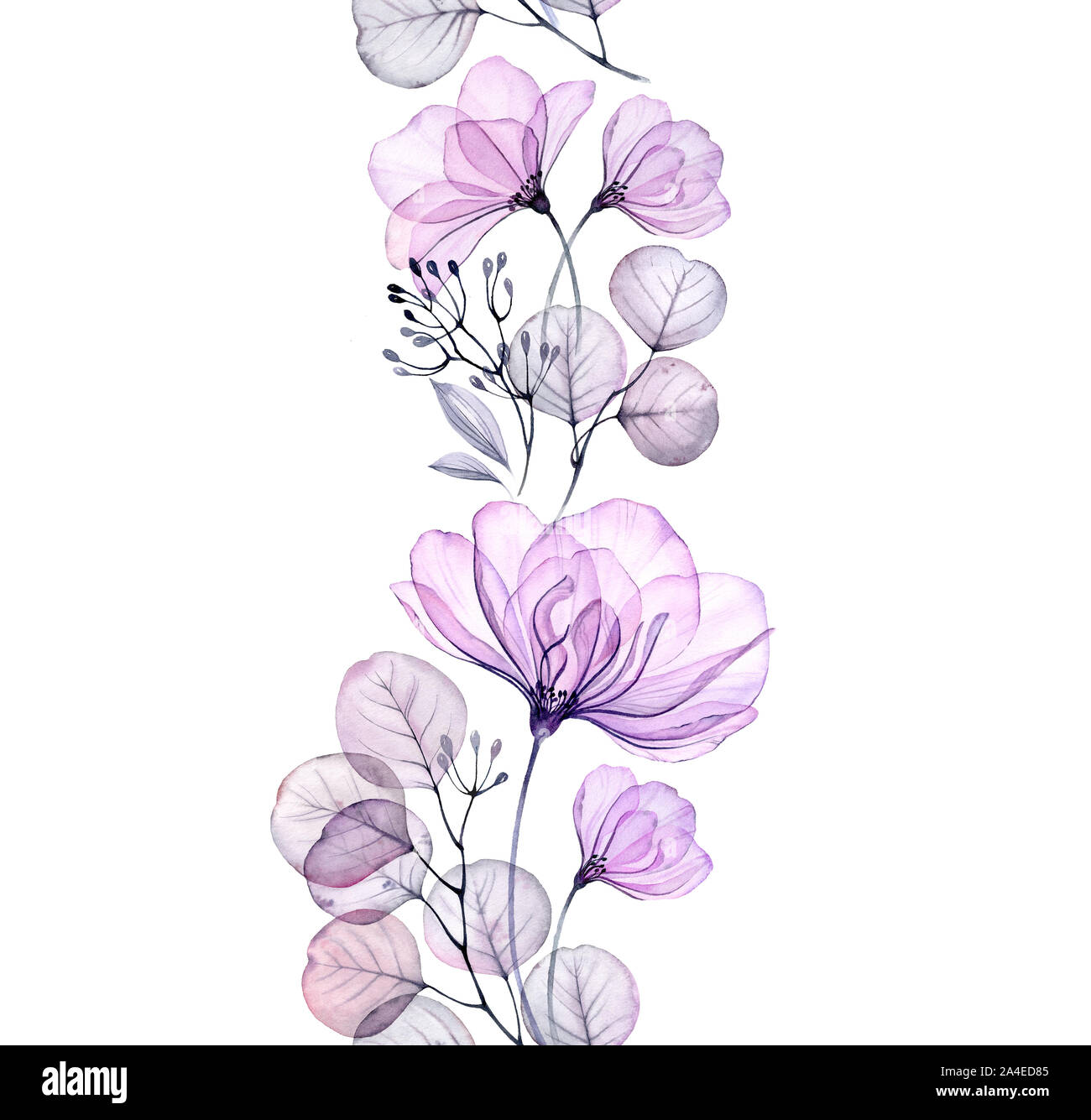 Transparente aquarell Rose. Nahtlose vertikale Grenze. Isolierte Hand gezeichneten Anordnung mit großen lila Blumen, Eukalyptus und Beeren für Hochzeit Stockfoto