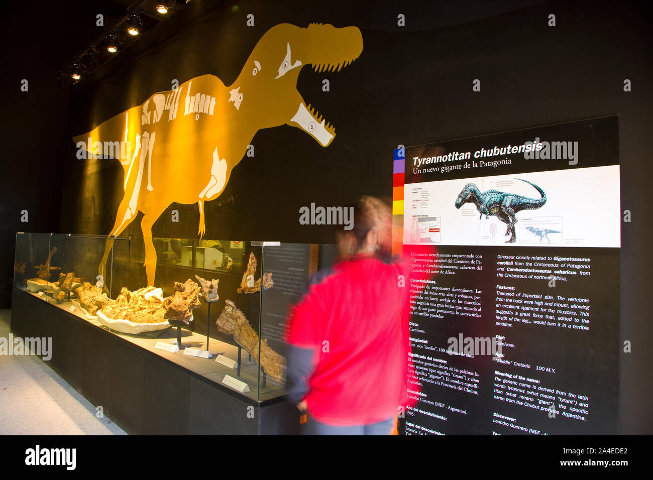 Museo Paleontologico Egidio Feruglio, Trelew, Patagonien, Argentinien Stockfoto