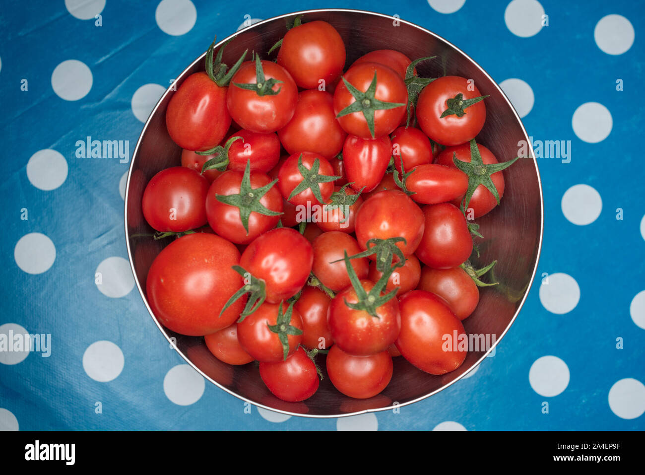 Draufsicht auf hausgemachte Tomaten - verschiedene Formen und Größen Stockfoto
