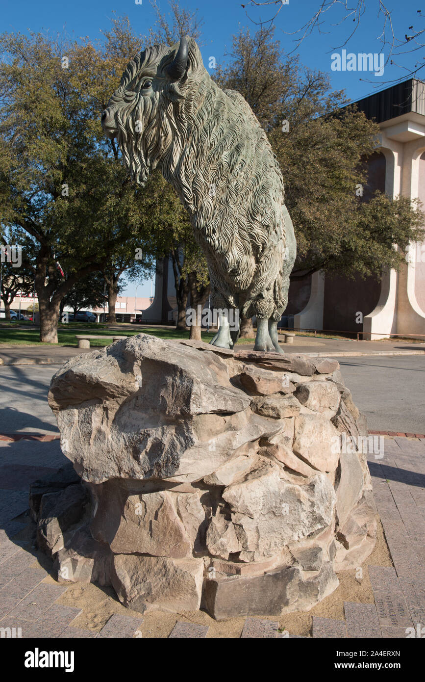 Diese Statue eines amerikanischen Bison außerhalb der Hasten County Courthouse in Snyder, Texas, ist an J. Wright Mooar, ein Meister Hunter von Büffel im Texas Panhandle gewidmet Stockfoto