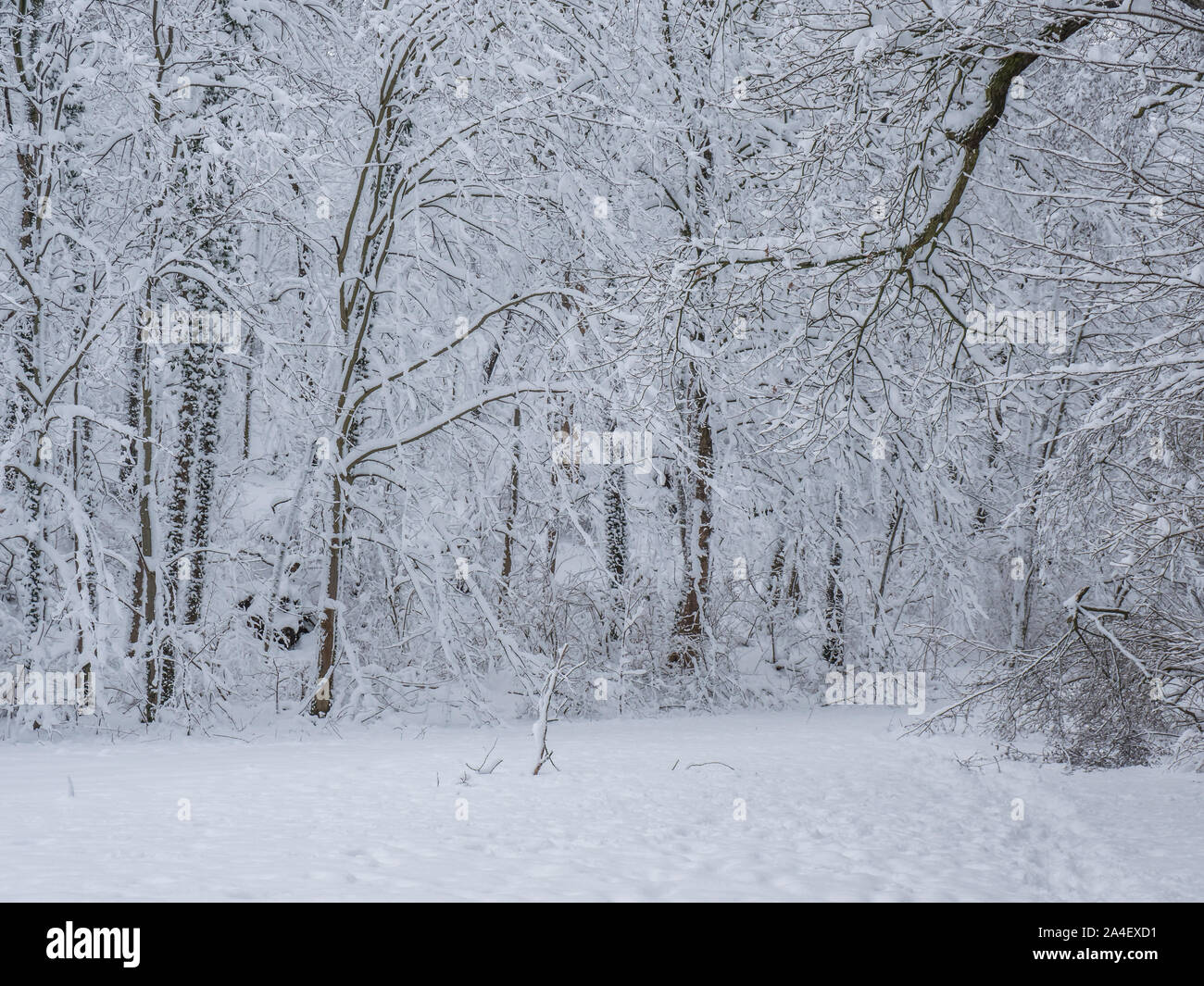 Winterlich verschneite Landschaft in Sachsen Stockfoto