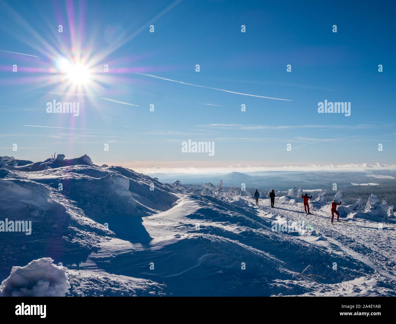 Winter Eindruck Landschaft Stockfoto