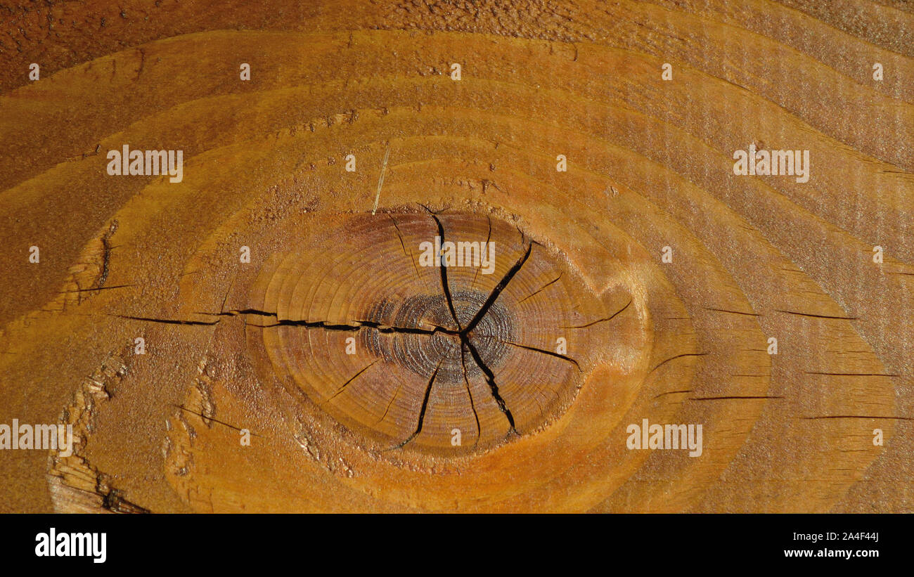 Braune Holz-Struktur Stockfoto