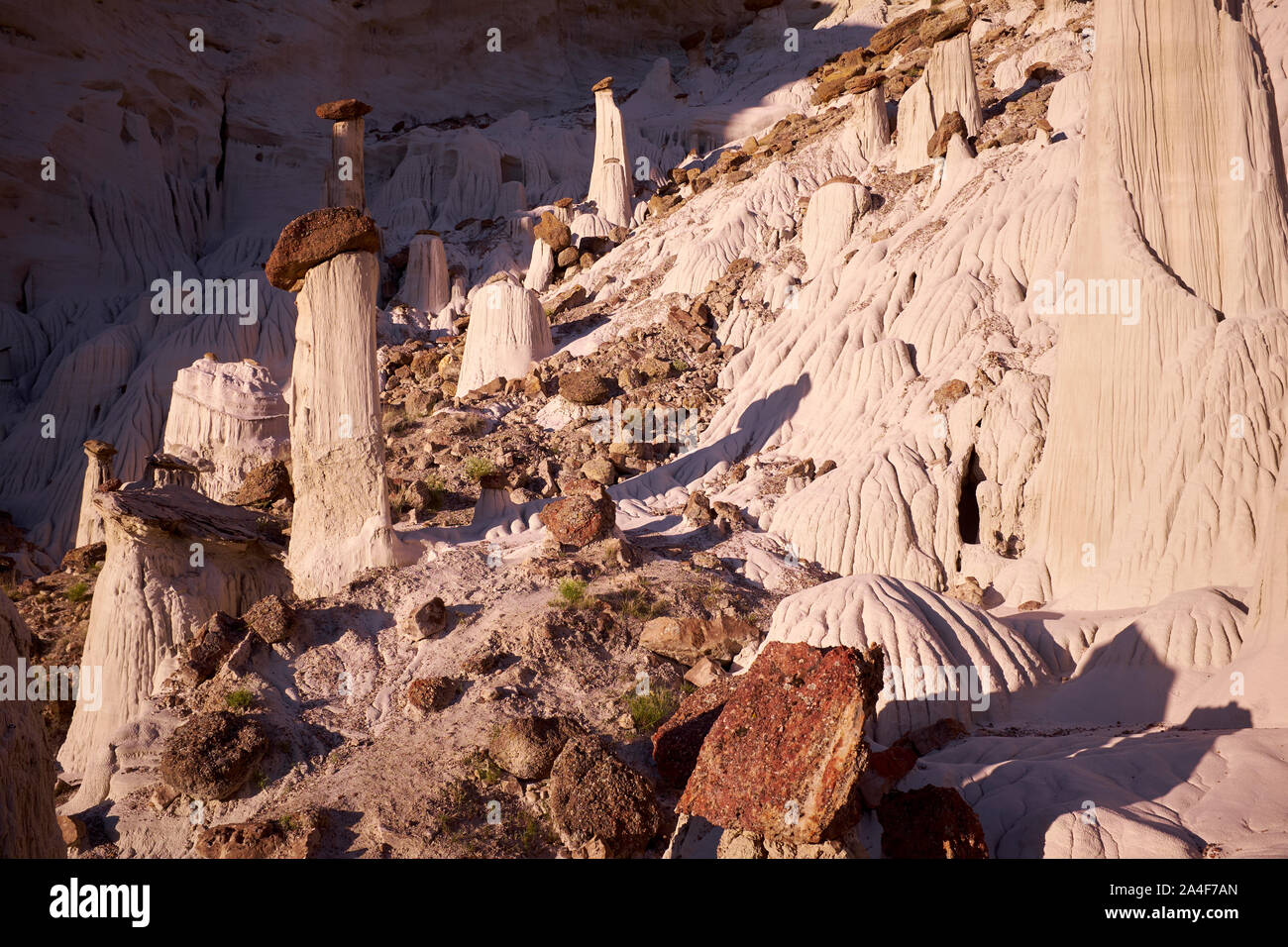 Utah Landschaft - wahweap Hoodoos, Türme des Schweigens, Utah, USA Stockfoto