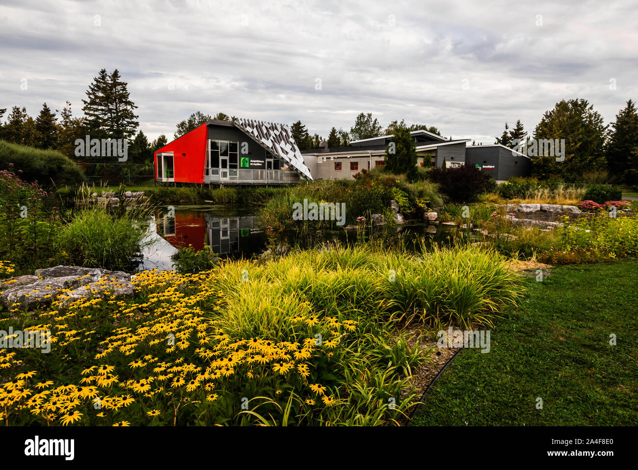 Bioparc der Gaspésie Bonaventure, Quebec, CA Stockfoto