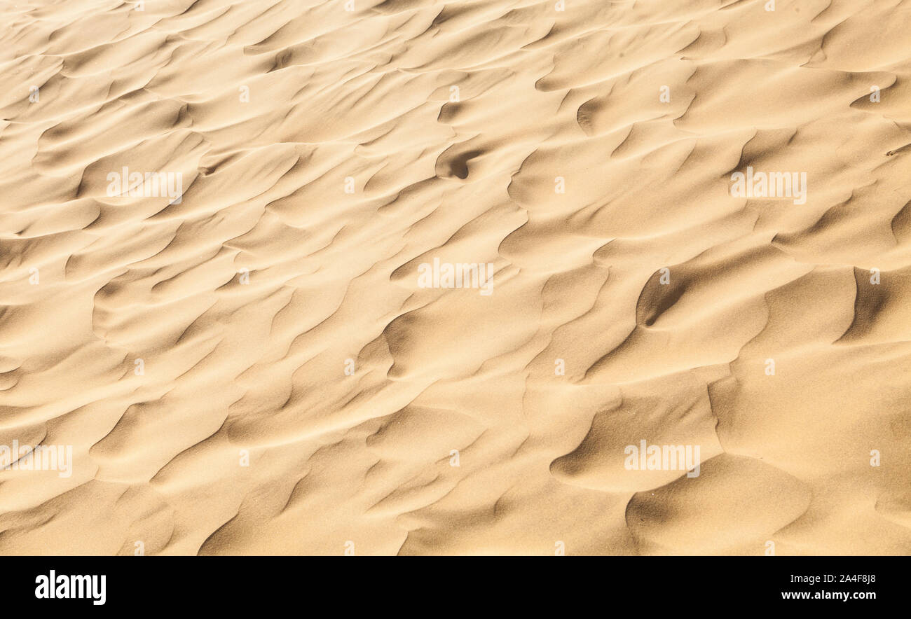 Wind sand, Thar Wüste von Rajasthan, Indien. Stockfoto