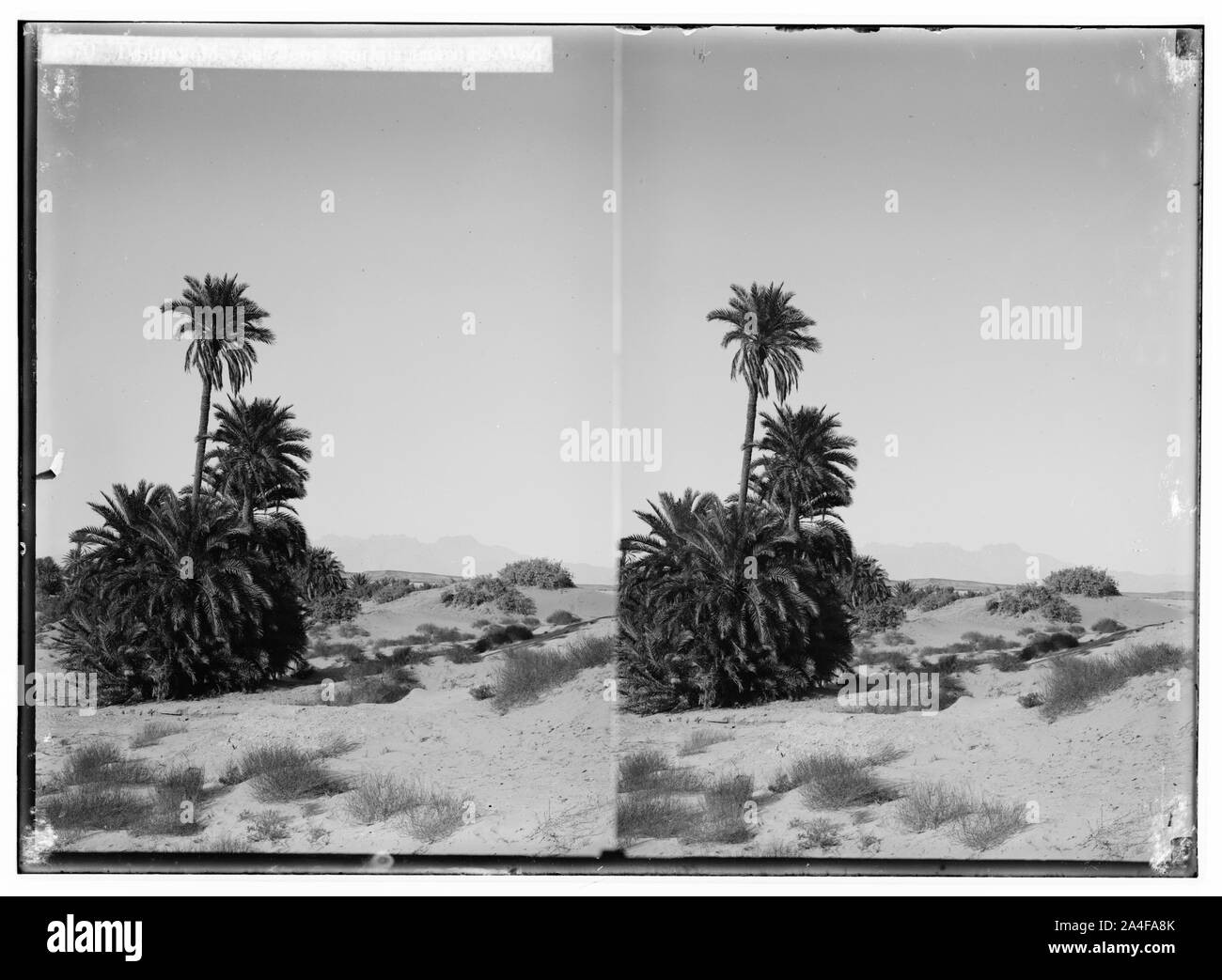 Zum Sinai, über das Rote Meer, Tor, und Wady Hebran. Fernsicht auf Jebel Serbal aus el-Wad. Stockfoto