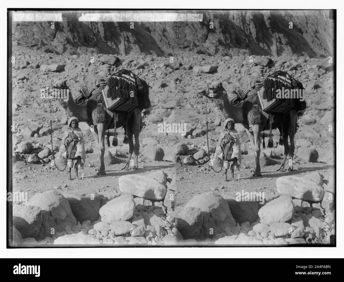 Zum Sinai, über das Rote Meer, Tor, und Wady Hebran. Auf den Spuren des Vaters Stockfoto