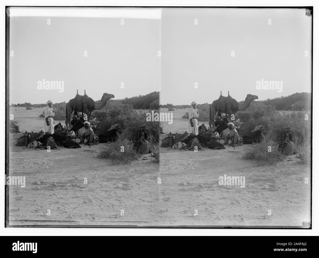 Zum Sinai, über das Rote Meer, Tor, und Wady Hebran. Vorbereitung für eine Nacht zelten in Wady el-A'awaj. Stockfoto