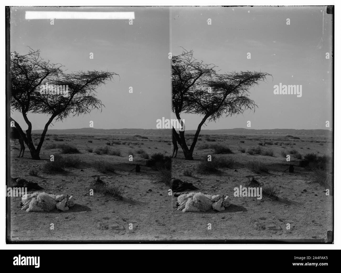 Zum Sinai, über das Rote Meer, Tor, und Wady Hebran. Szene in der Mitte von el-Kaa. Stockfoto