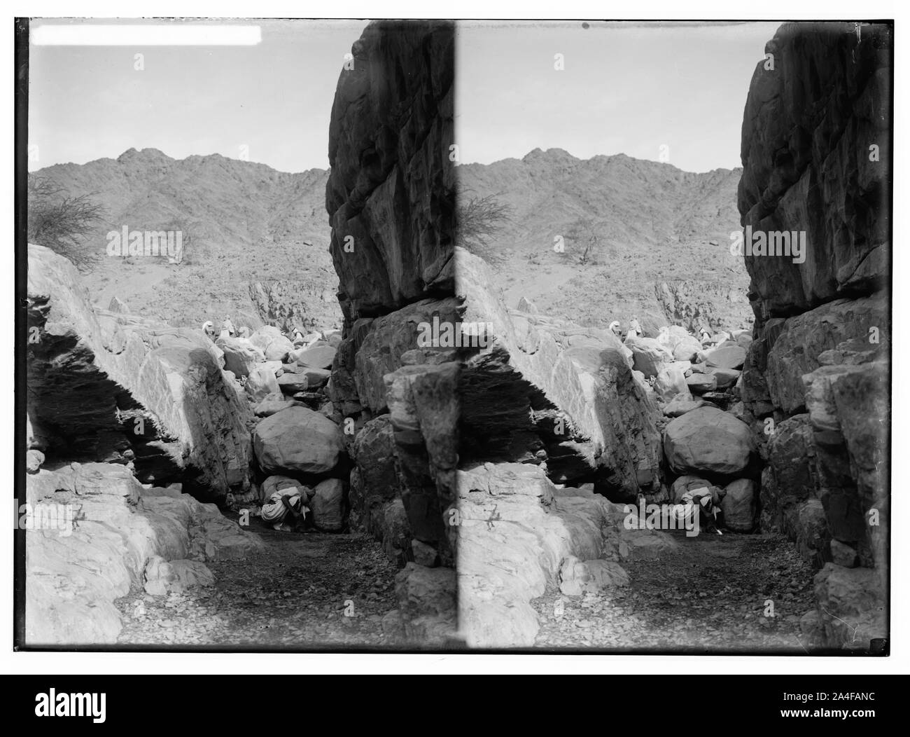 Zum Sinai, über das Rote Meer, Tor, und Wady Hebran. Feder von el-Wataieh. Stockfoto