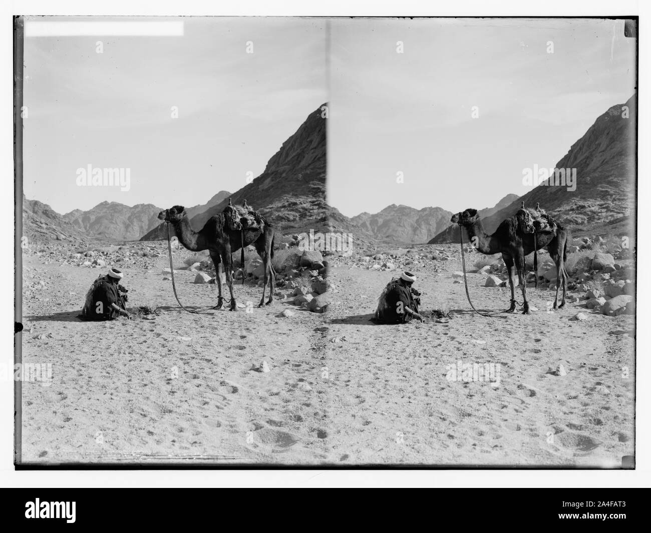 Zum Sinai, über das Rote Meer, Tor, und Wady Hebran. Wady Esh-Sheikh. Stockfoto