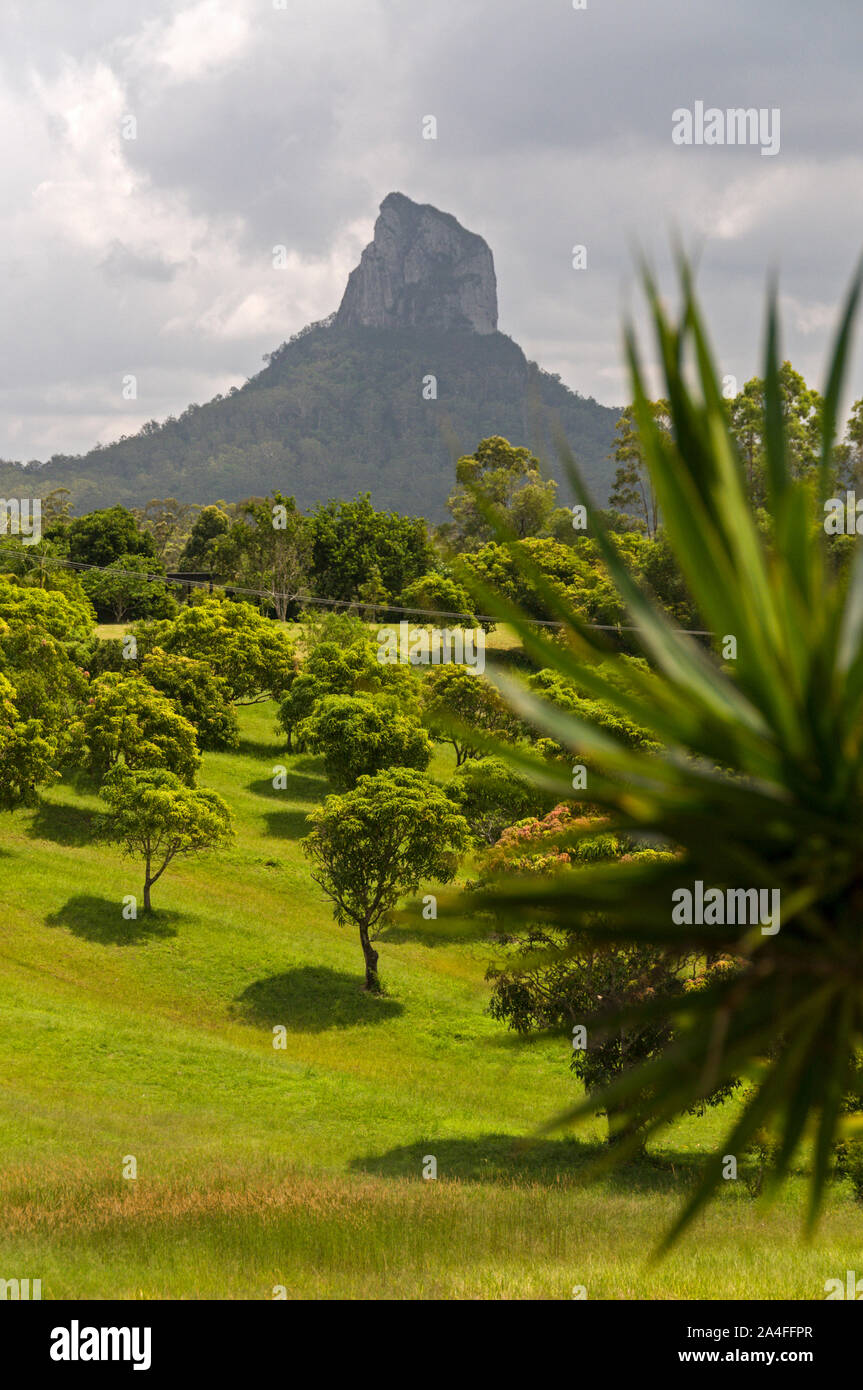 Mount Coonowrin (Crookneck) am 377 Meter hohen ist Teil der Glass House Mountains an der Sunshine Coast in Queensland, Australien. Die Berge Bestell-nr. Stockfoto